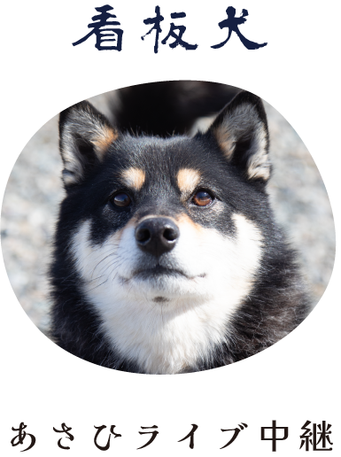 看板犬あさひライブ中継